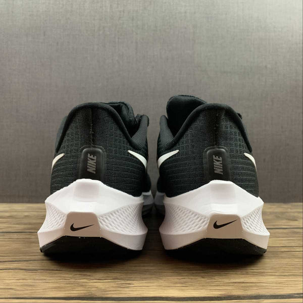 Air Zoom Pegasus 39