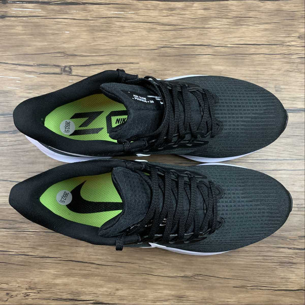 Air Zoom Pegasus 39